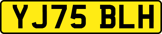YJ75BLH