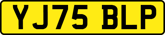 YJ75BLP