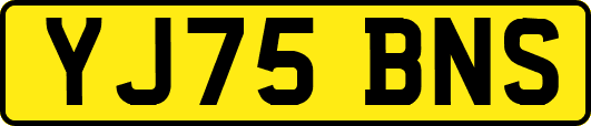 YJ75BNS