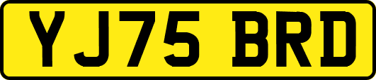 YJ75BRD