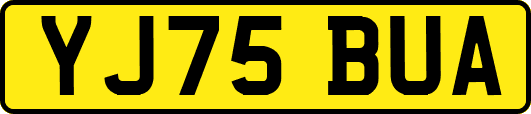 YJ75BUA