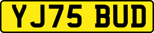YJ75BUD