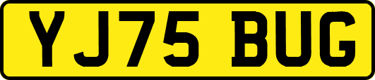 YJ75BUG