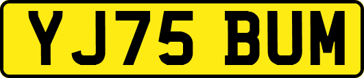 YJ75BUM