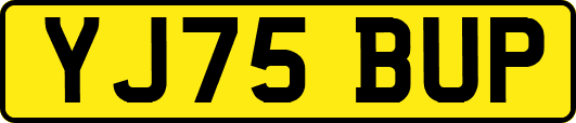 YJ75BUP