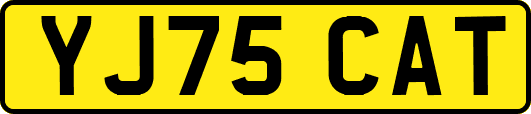 YJ75CAT