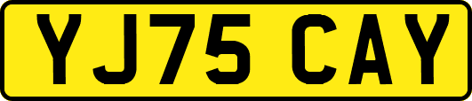 YJ75CAY