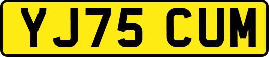 YJ75CUM