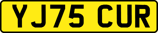 YJ75CUR