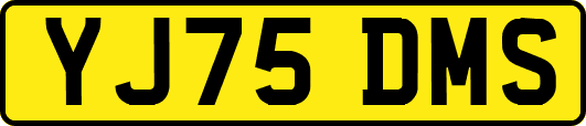 YJ75DMS