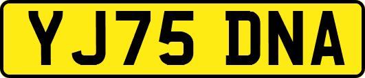 YJ75DNA