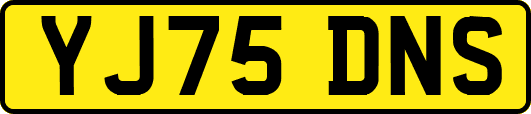 YJ75DNS
