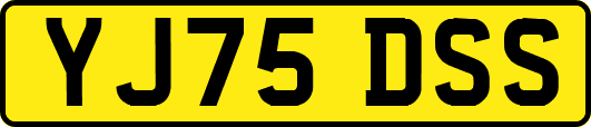 YJ75DSS