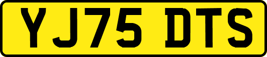 YJ75DTS
