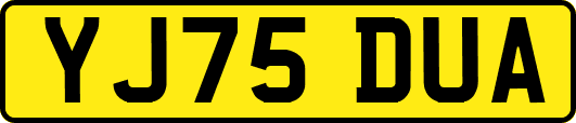 YJ75DUA