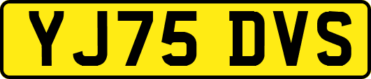 YJ75DVS