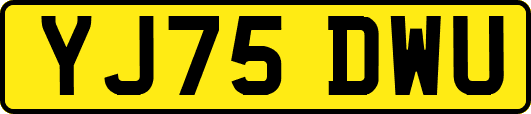 YJ75DWU