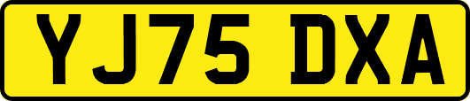 YJ75DXA