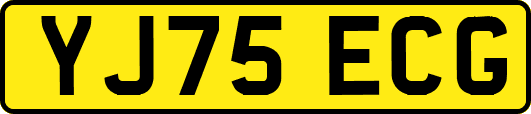 YJ75ECG