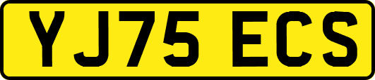 YJ75ECS
