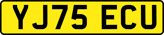 YJ75ECU