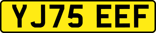 YJ75EEF