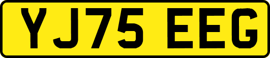YJ75EEG