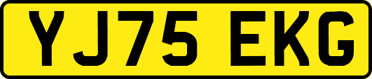 YJ75EKG