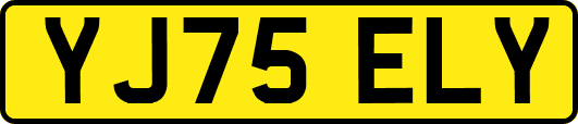 YJ75ELY