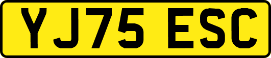 YJ75ESC