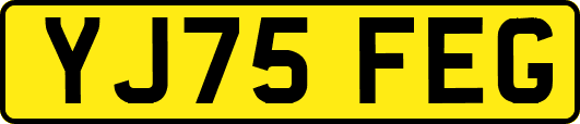 YJ75FEG