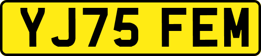 YJ75FEM