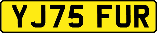 YJ75FUR