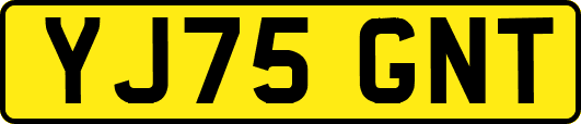 YJ75GNT