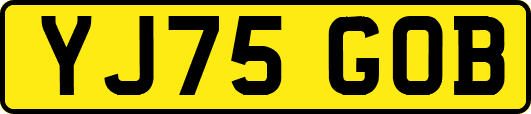YJ75GOB