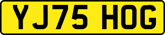 YJ75HOG