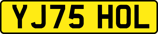YJ75HOL