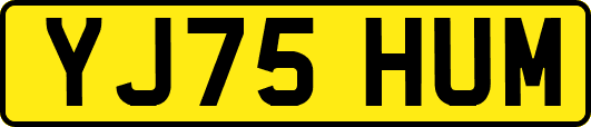 YJ75HUM