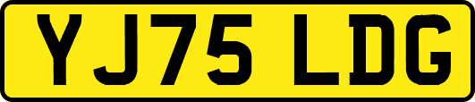 YJ75LDG