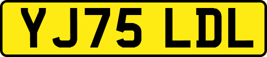 YJ75LDL