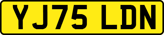 YJ75LDN