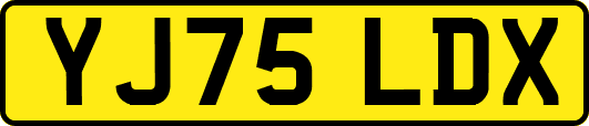 YJ75LDX
