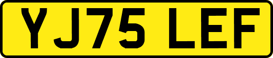 YJ75LEF