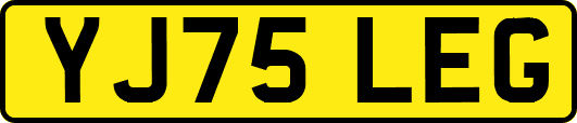 YJ75LEG