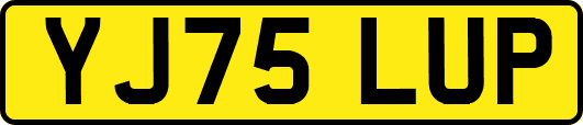 YJ75LUP