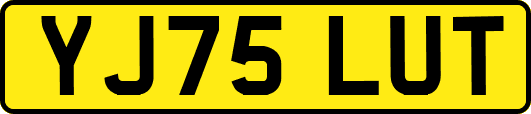 YJ75LUT