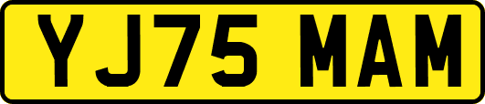 YJ75MAM