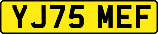 YJ75MEF