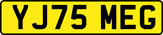 YJ75MEG