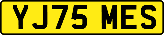 YJ75MES
